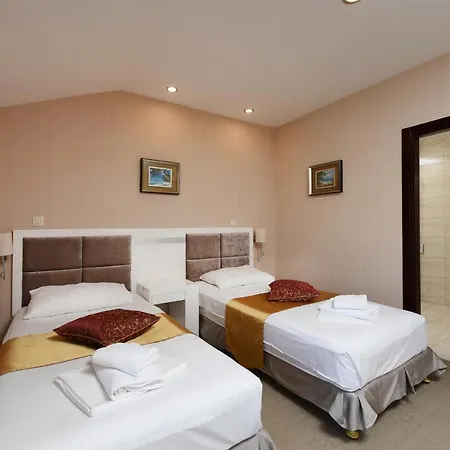 Hotel Family Zane 4*