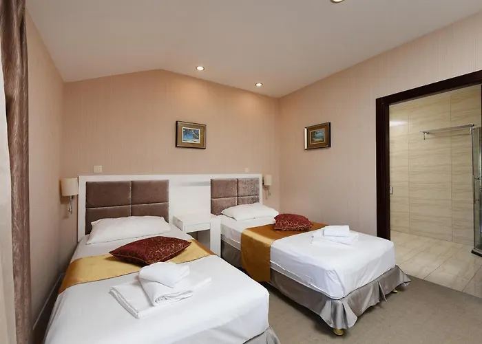 Hotel Family Zane 4*